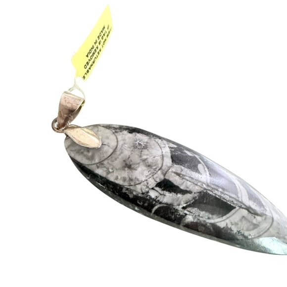 Orthoceras Fossil Pendant With Sterling Silver 925 Bail - Picture 4 of 7